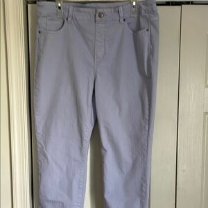 Soft surroundings Women's Light Purple Jeans
